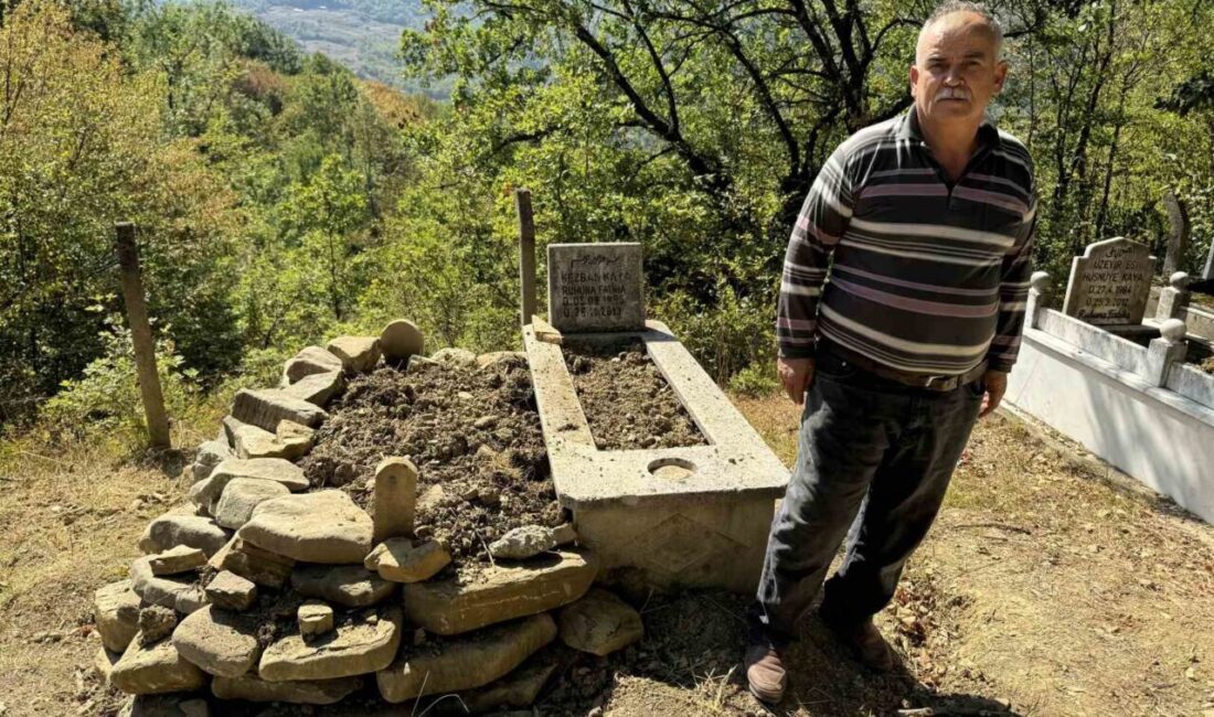 Karabük’ün Yenice ilçesine bağlı Şirinköy köyü Yazır Mahallesi’nde mezarlığa giren