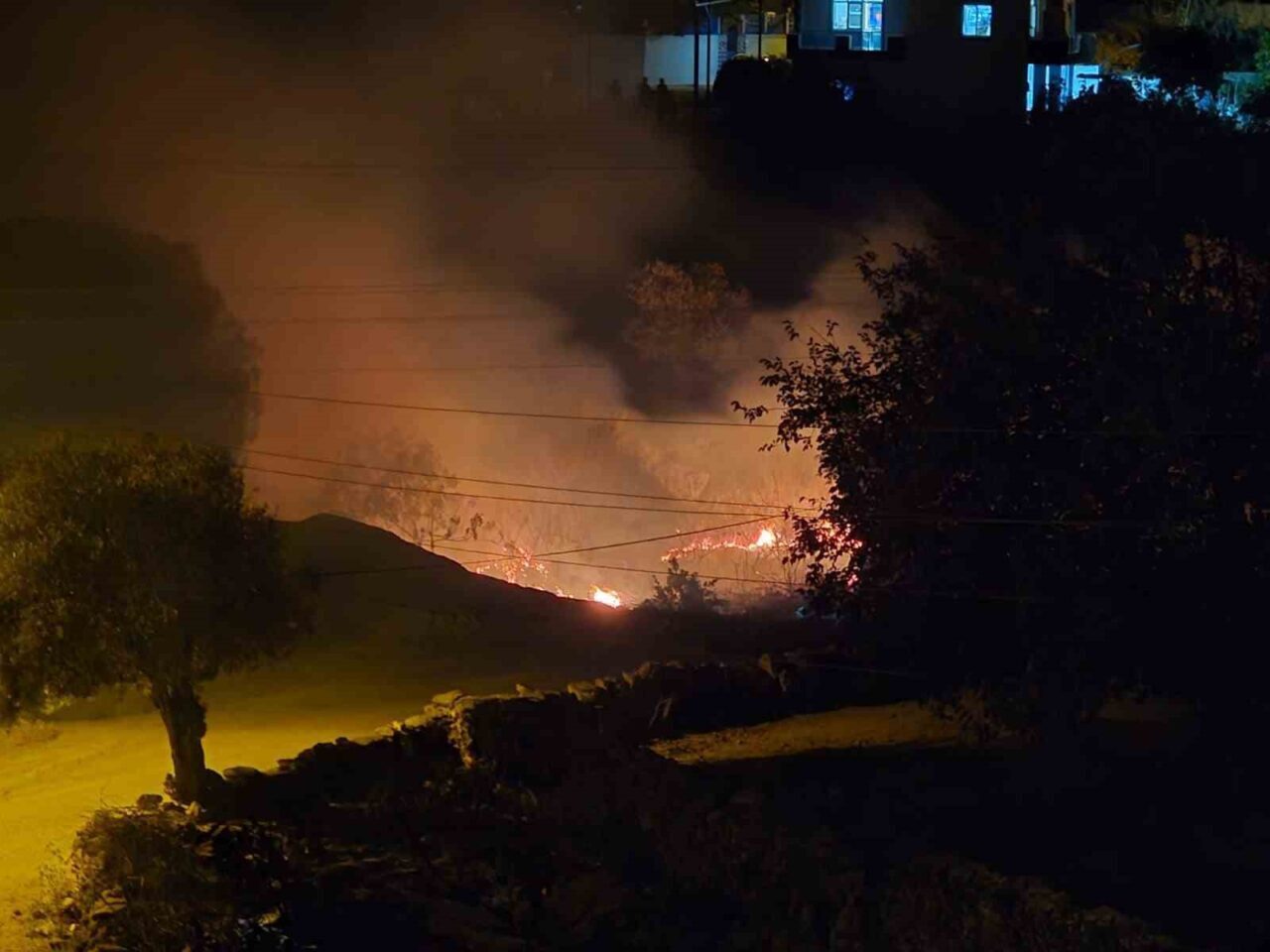 Muğla’nın Milas ilçesine bağlı Çomakdağ Mahallesi’nde çıkan sazlık yangını, ekiplerin