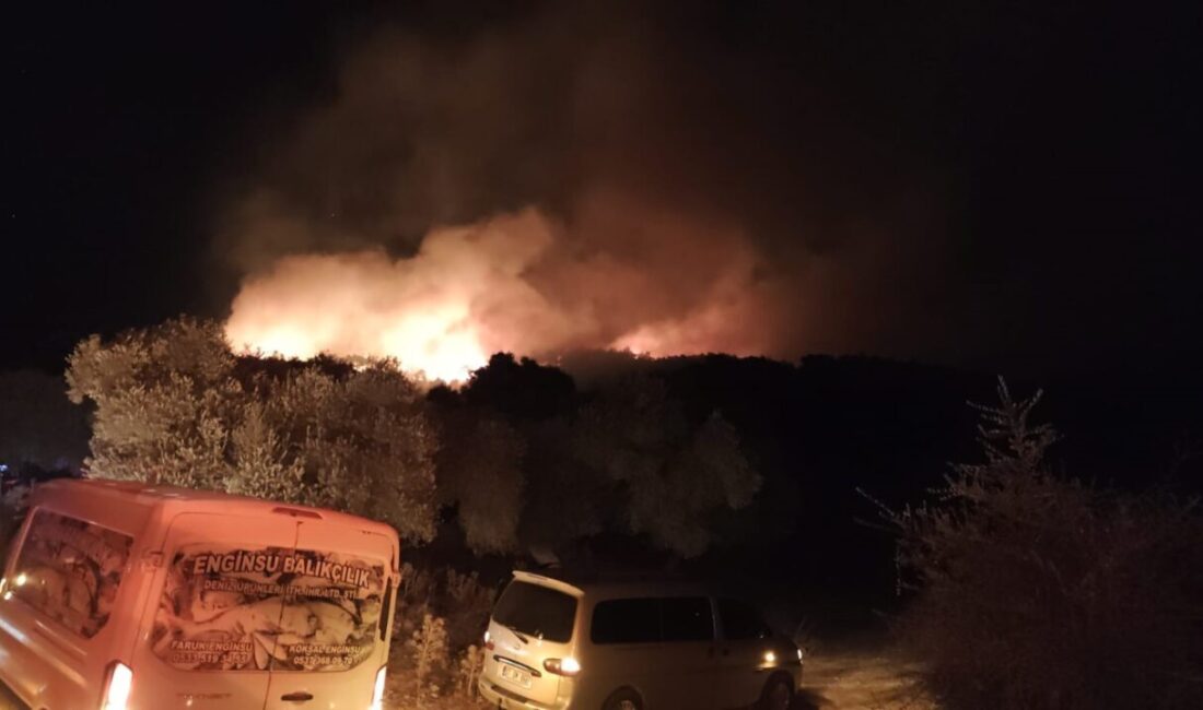 Muğla’nın Milas ilçesi Kıyıkışlacık Mahallesinde meydana gelen orman yangınına ekipler