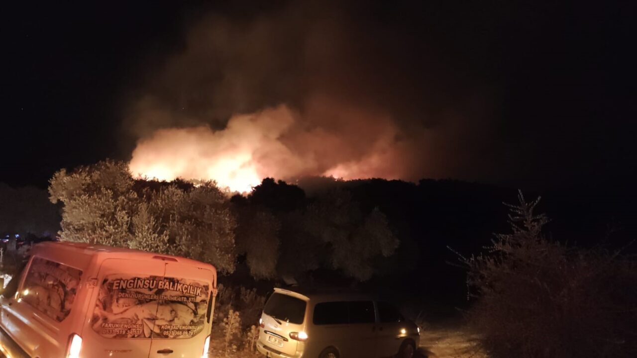 Muğla’nın Milas ilçesi Kıyıkışlacık Mahallesinde meydana gelen orman yangınına ekipler