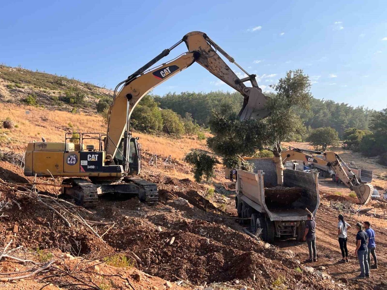 Ankara Üniversitesi Teknokent’te yürütülen Ar-Ge projesinde taşınan 9 zeytin ağacının