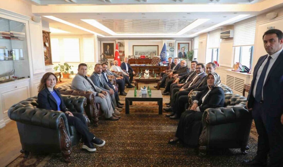 AK Parti Kahramanmaraş Milletvekili, TBMM İçişleri Komisyonu Üyesi, Genel Merkez