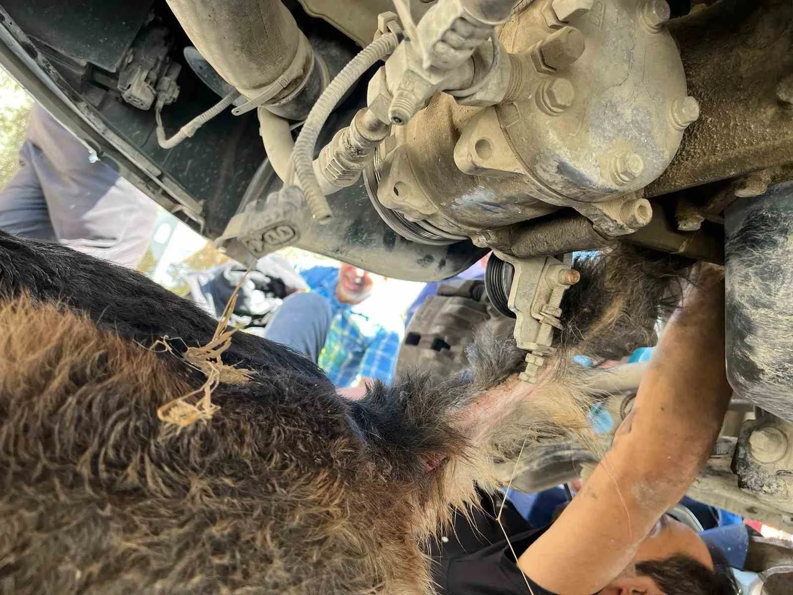 Hatay’ın Samandağ ilçesinde minibüsün altında sıkışıp mahsur kalan köpek, itfaiye