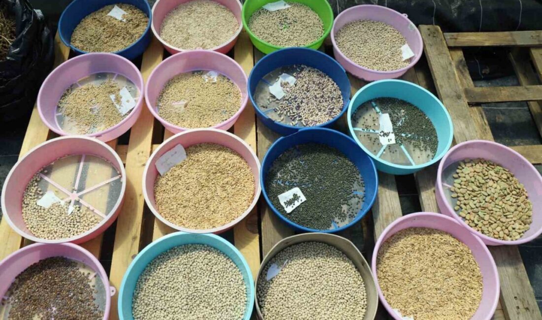 ‘Yerel Tohum Ulusal Güç’ sloganıyla kurulan ve bugüne kadar Türkiye’nin