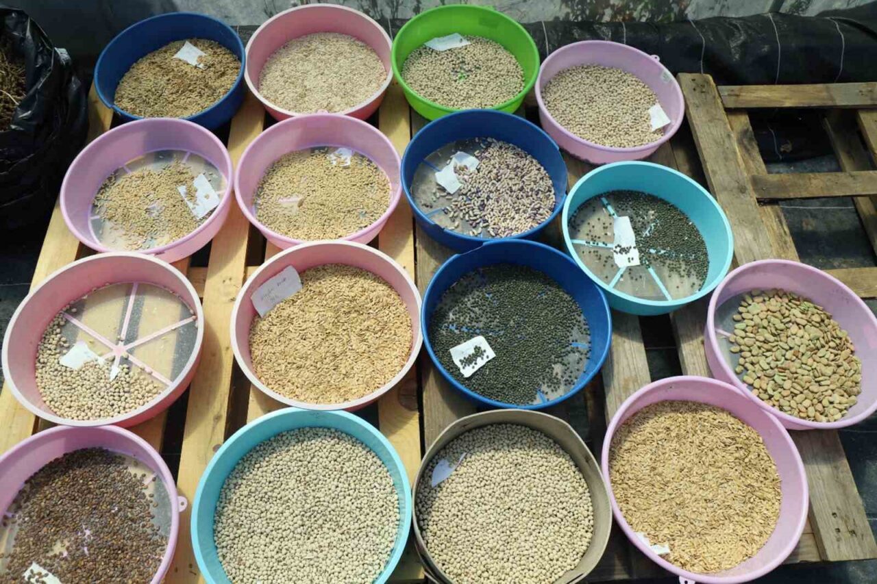 ‘Yerel Tohum Ulusal Güç’ sloganıyla kurulan ve bugüne kadar Türkiye’nin