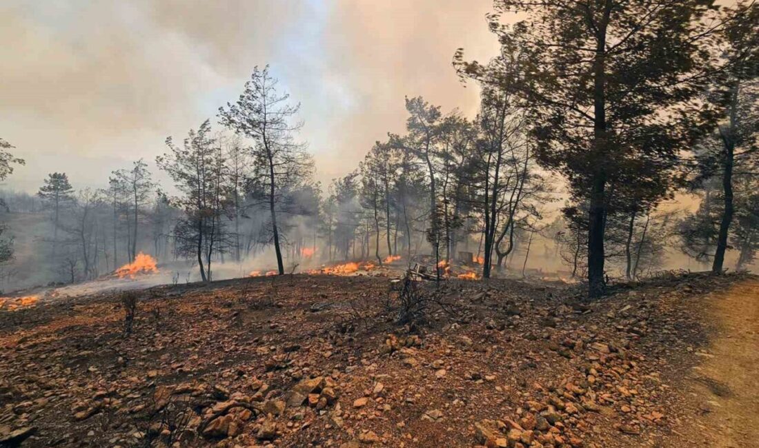 Milas’ın Kıyıkışlacık, Köyceğiz’in Pınarköy ve Akköprü bölgelerinde etkili olan yangınlara