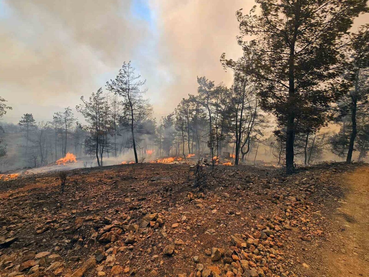 Milas’ın Kıyıkışlacık, Köyceğiz’in Pınarköy ve Akköprü bölgelerinde etkili olan yangınlara