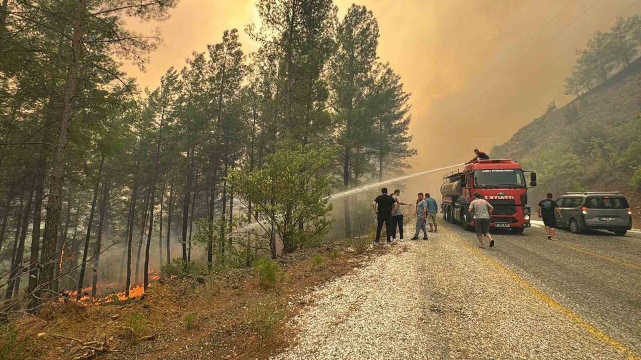 Muğla Valisi Dr. İdris Akbıyık, il genelinde meydana gelen orman
