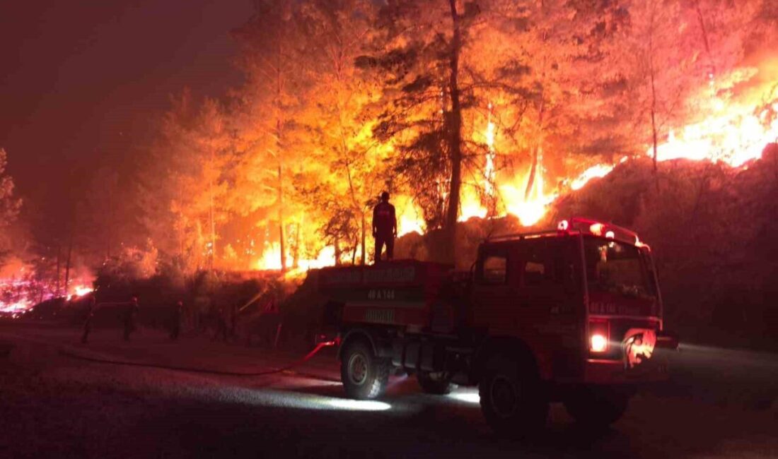 Muğla’da dün akşam saatlerinden itibaren peş peşe başlayan orman yangınları