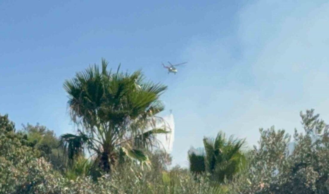 Muğla’da 7 bölgede çıkan orman yangınlarının 4’ü kontrol altına alınırken,