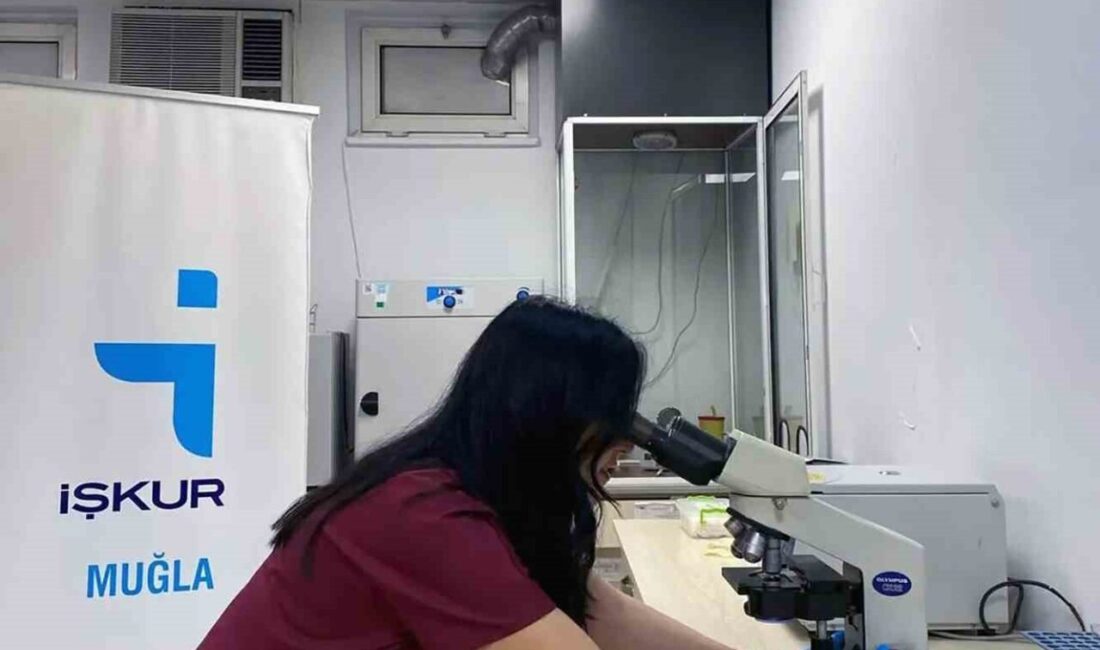 İŞKUR Muğla İl Müdürlüğü, 2025 yılının ilk sekiz ayında 12