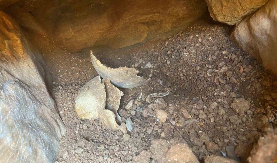 Menteşe ilçesinde sulama deposu çalışmaları sırasında yapılan kazılarda tarihi eseler