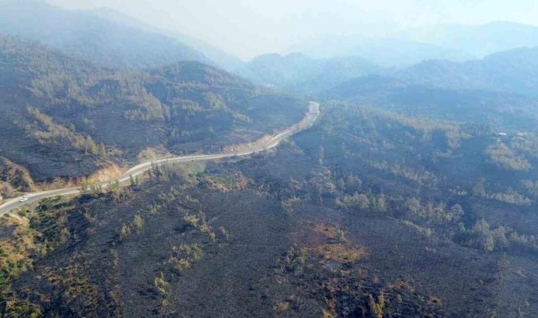 Muğla’nın Köyceğiz ilçesinde yaşanan orman yangınının ardından geriye kalan acı