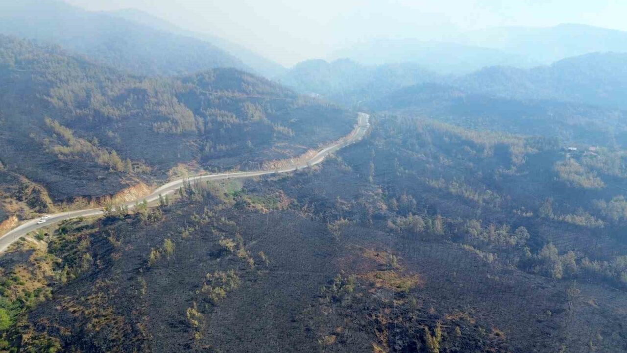 Muğla’nın Köyceğiz ilçesinde yaşanan orman yangınının ardından geriye kalan acı