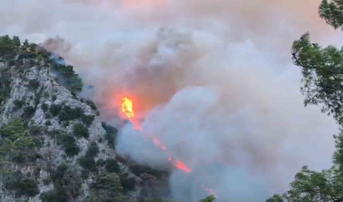 Muğla’da dün akşam saatlerinden itibaren peş peşe başlayan 7 ayrı