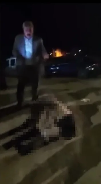 Muş-Bitlis karayolunda karşıya geçmeye çalışırken bir otomobilin çarptığı yaşlı kadın