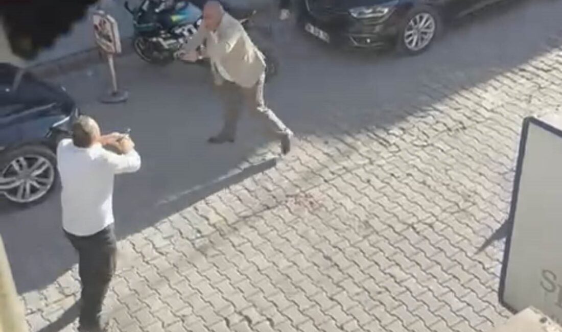 Muş’un Bulanık ilçesinde 2 kişinin hayatını kaybettiği kavga anına ilişkin