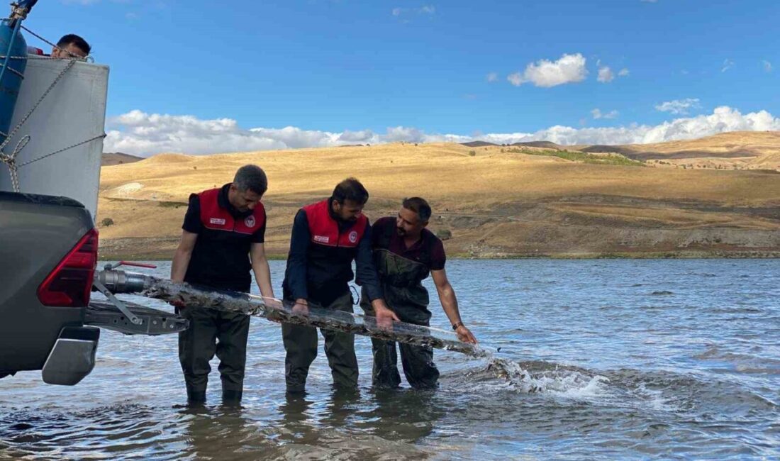 Muş Tarım ve Orman İl Müdürlüğü tarafından “İç Suların Balıklandırılması”