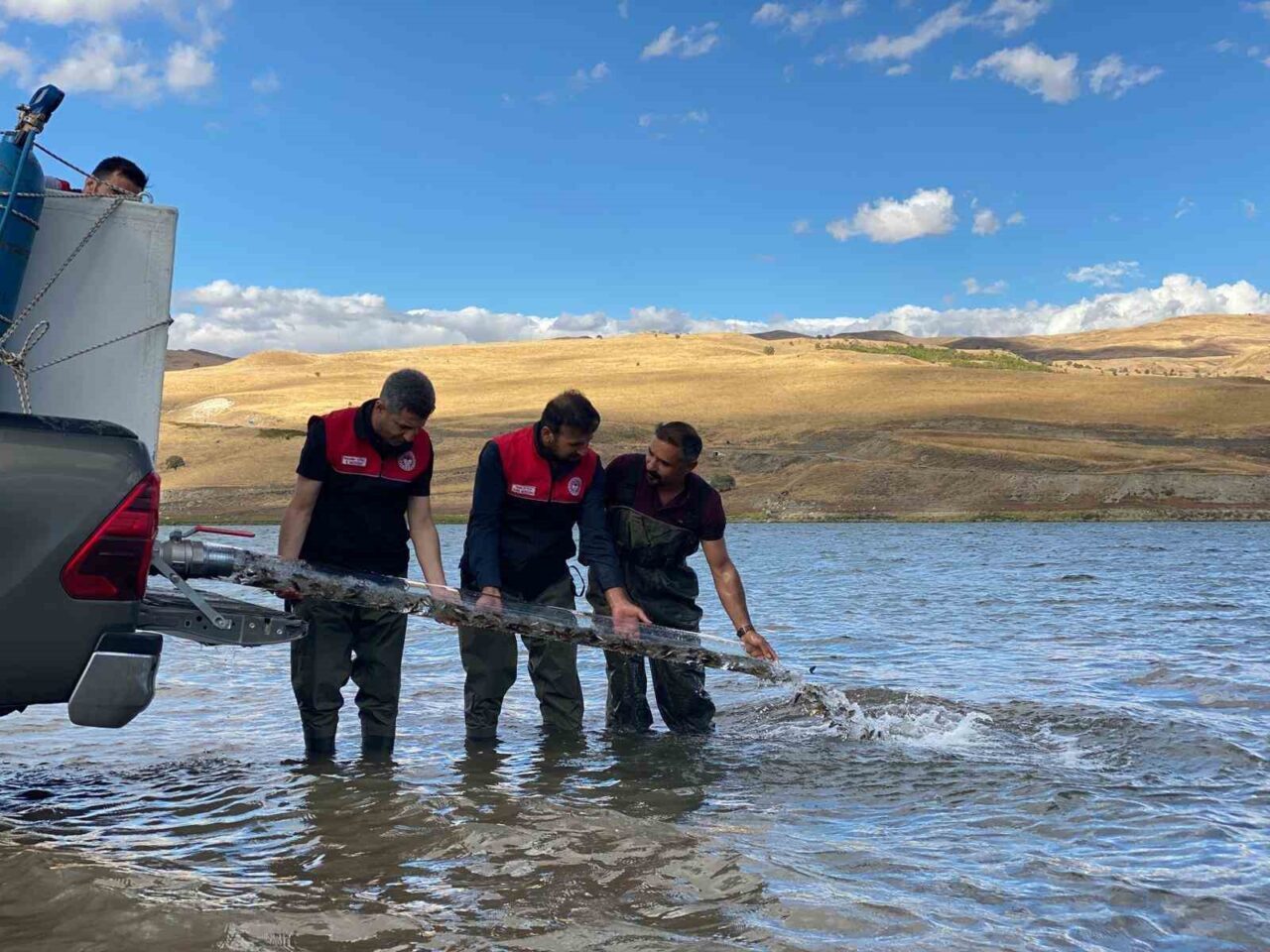 Muş Tarım ve Orman İl Müdürlüğü tarafından “İç Suların Balıklandırılması”