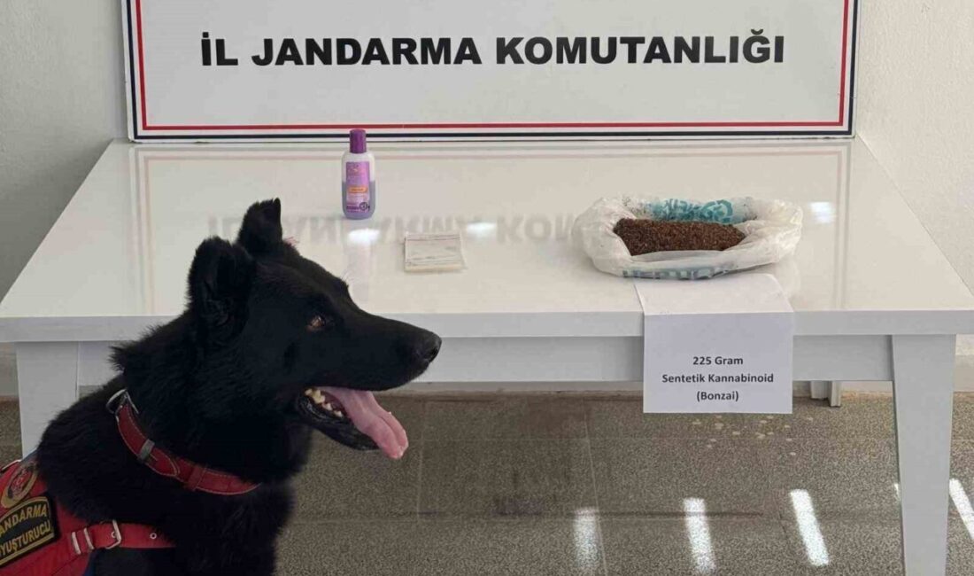 MUŞ (İHA) – Muş’ta jandarma ekipleri tarafından yapılan çalışmalarda 225