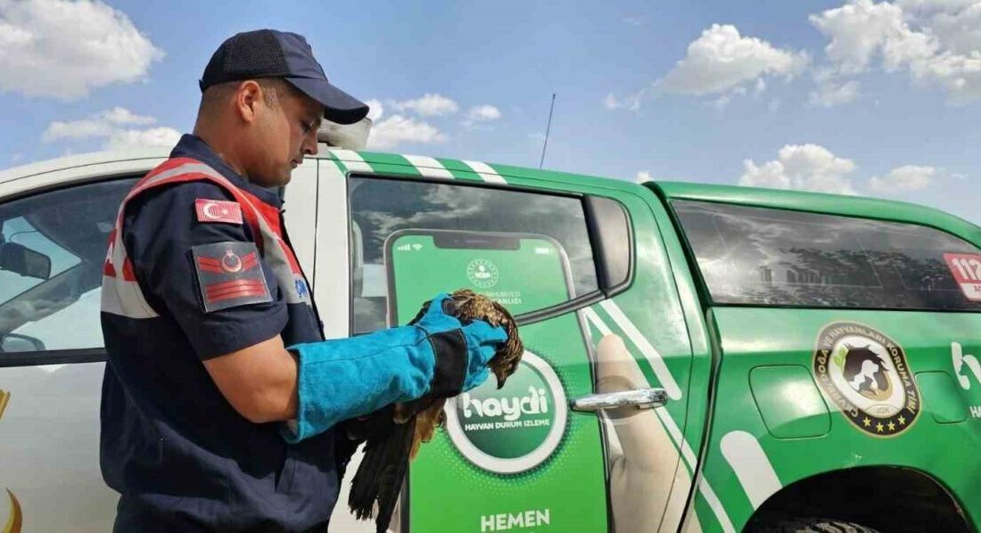 Muş’un Hasköy ilçesi Yukarıüçdam köyünde önleyici kolluk devriyesi sırasında yaralı