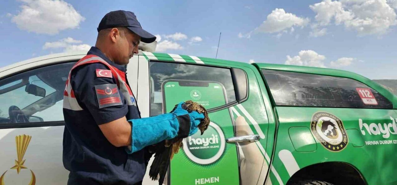 Muş’un Hasköy ilçesi Yukarıüçdam köyünde önleyici kolluk devriyesi sırasında yaralı