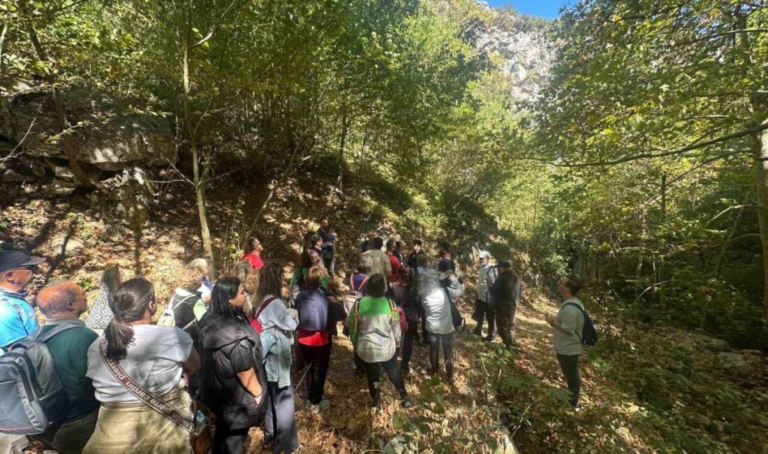 Nilüfer Belediyesi ve Alzheimer Derneği Bursa Şubesi iş birliğiyle düzenlenen,