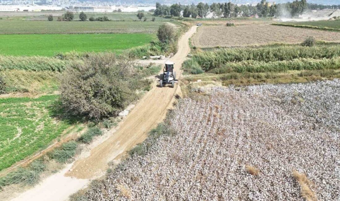 Nazilli Belediyesi Fen İşleri Müdürlüğü ekipleri, Nazilli-Bozdoğan güzergahındaki ova yolunda