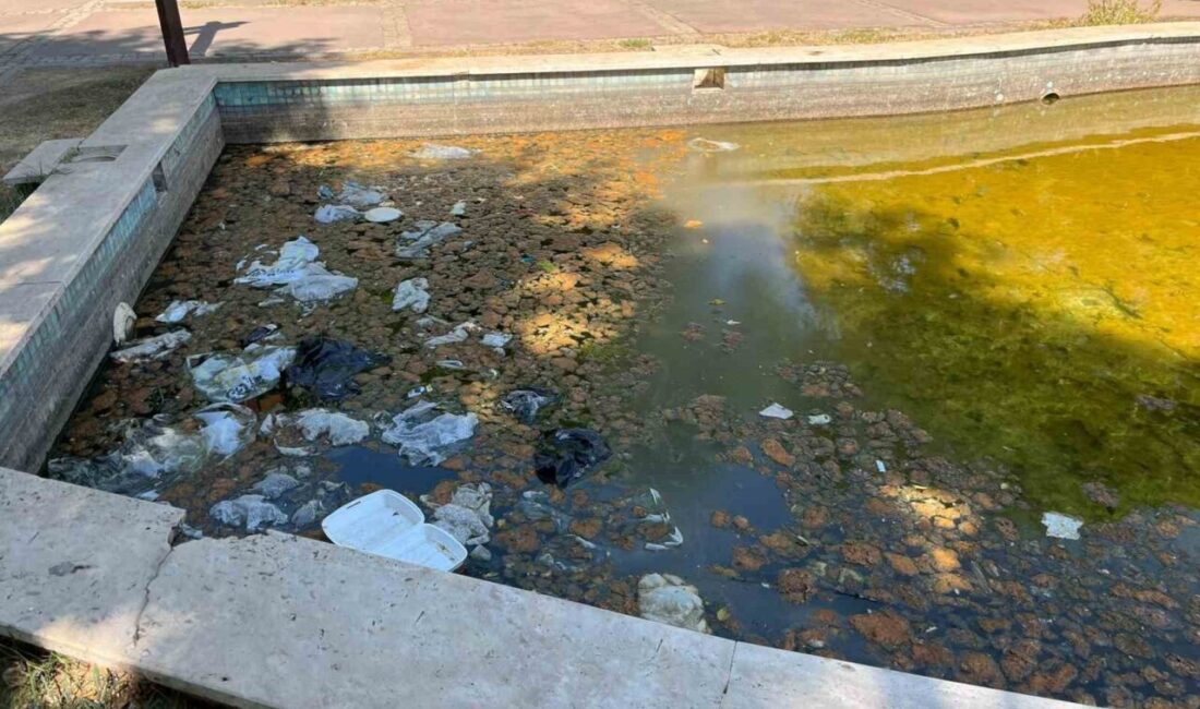 Aydın’ın Efeler ilçesinde şehir merkezinde bulunan Nevzat Biçer Parkı, bakımsızlık