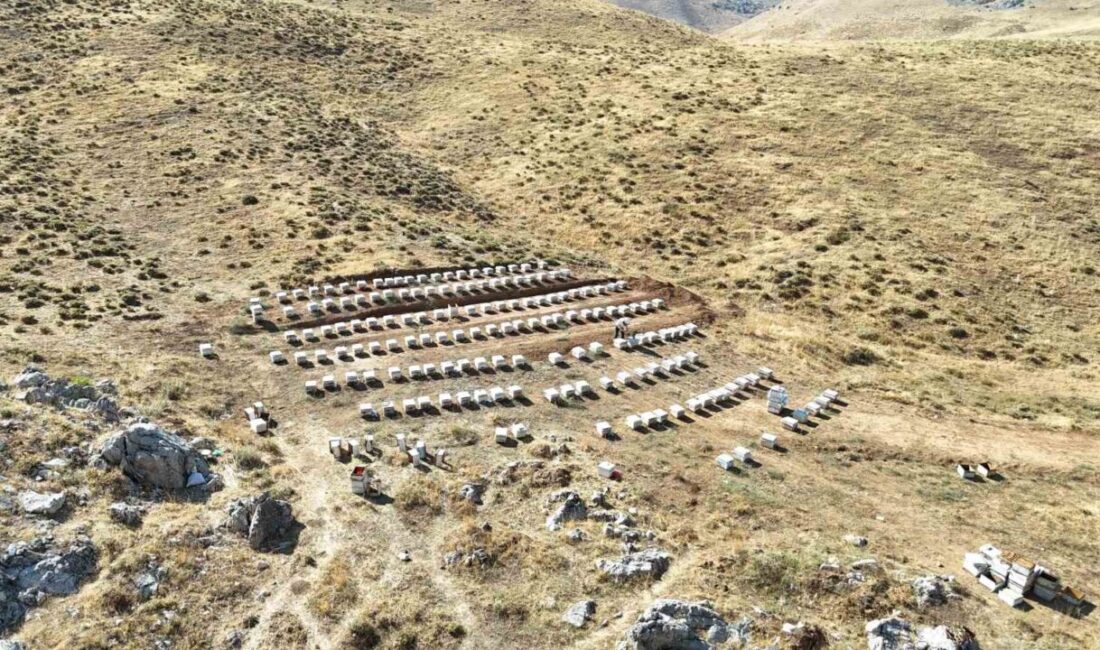Kahramanmaraş’ın Nurhak ilçesine bağlı Tatlar Köyü Tahtalı Yaylası’nda arıcılar bal