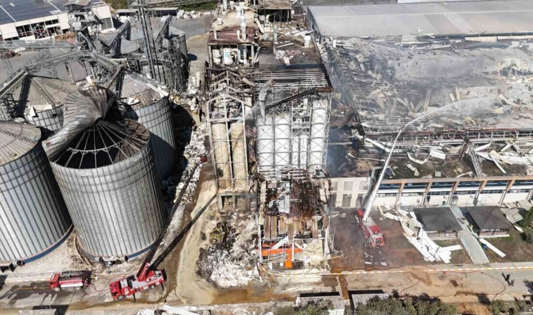 Sakarya’nın Hendek ilçesinde geçen yıl 5 kişinin hayatını kaybettiği, 26