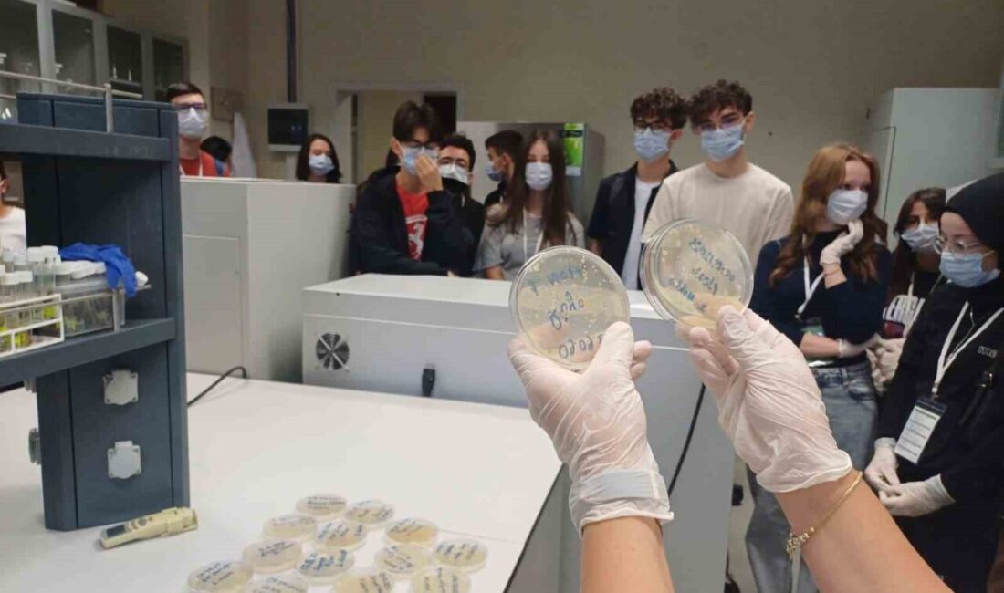 Çankırı’da, lise öğrencileri iklim değişikliğinin etkilerini matematikle hesap yaparak öğrendi.