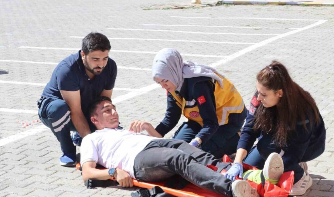 Sivas Mustafa Kemal Atatürk Mesleki ve Teknik Anadolu Lisesi’nde Dünya