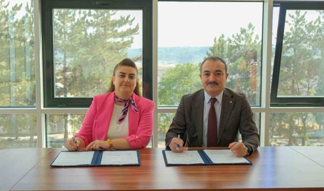 Orta Karadeniz Kalkınma Ajansı (OKA) ile Çorum Teknokent Anonim Şirketi