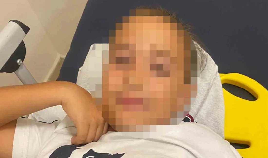 İzmir’in Urla ilçesinde bir okulda bahçedeki bayrak direğinin devrilmesi sonucu