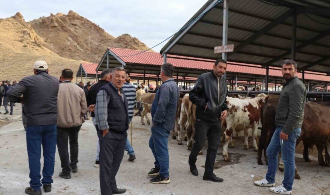 Oltu ilçesinde şap hastalığı nedeniyle yaklaşık üç aydır kapalı olan
