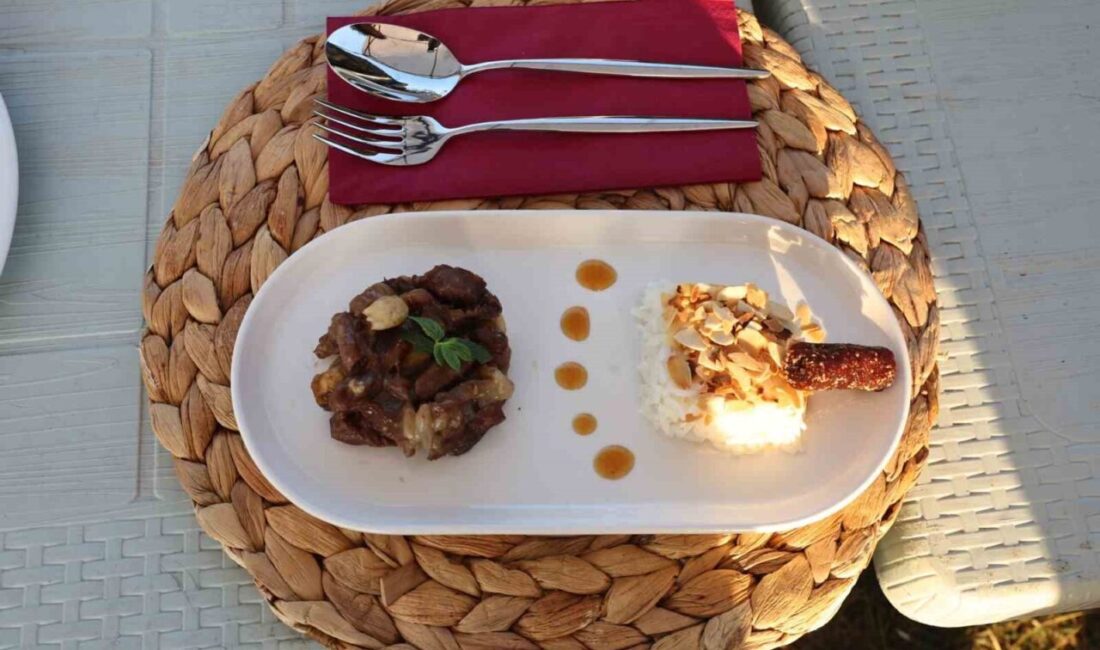 Nilüfer Belediyesi tarafından düzenlenen 11. Akçalar-Fadıllı İncir Festivali bu yıl