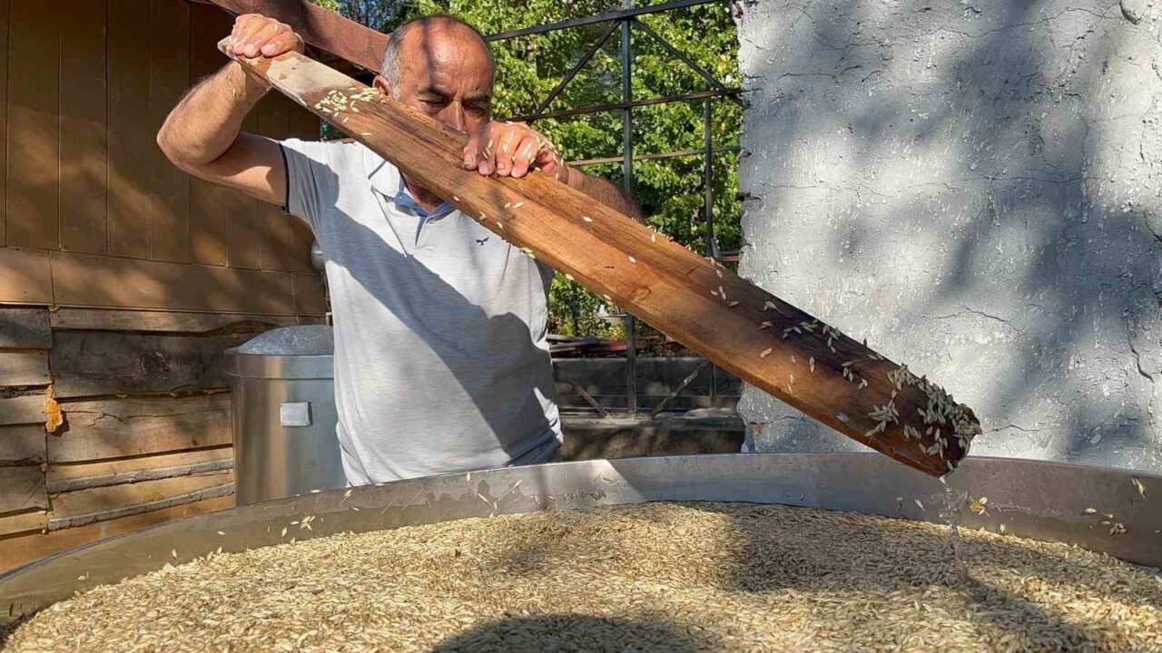 Kastamonu’nun İhsangazi ilçesinde, çiftçiler 12 bin yıldır genetiği değişmeyen siyez