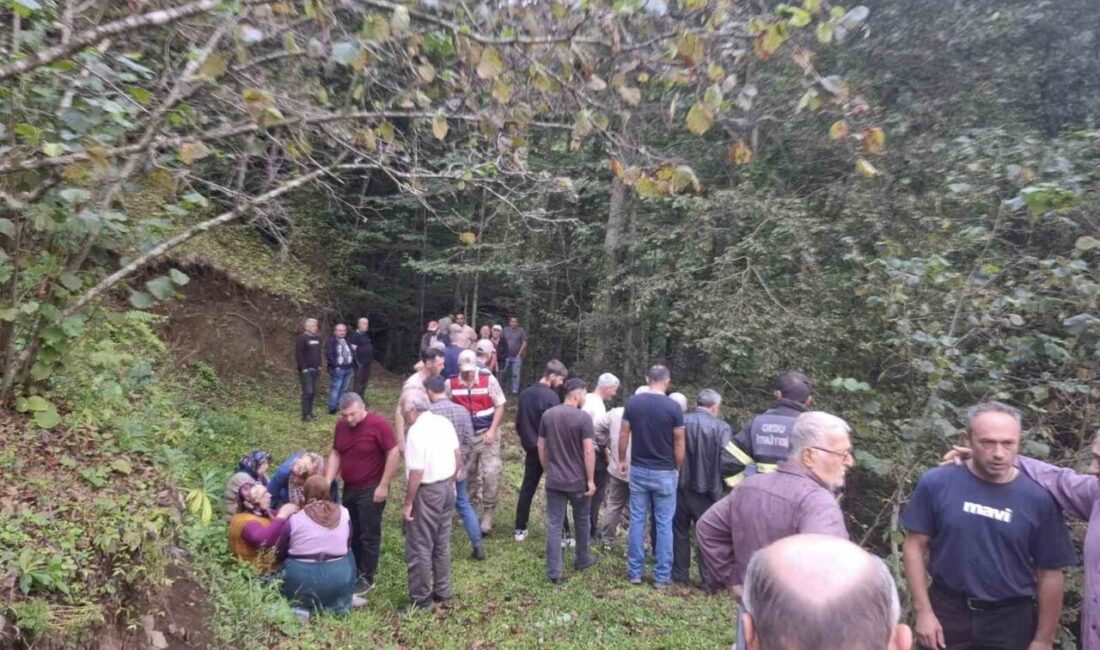 Ordu’nun Çaybaşı ilçesinde tarım aracı patpatın uçuruma yuvarlanması sonucu meyedana