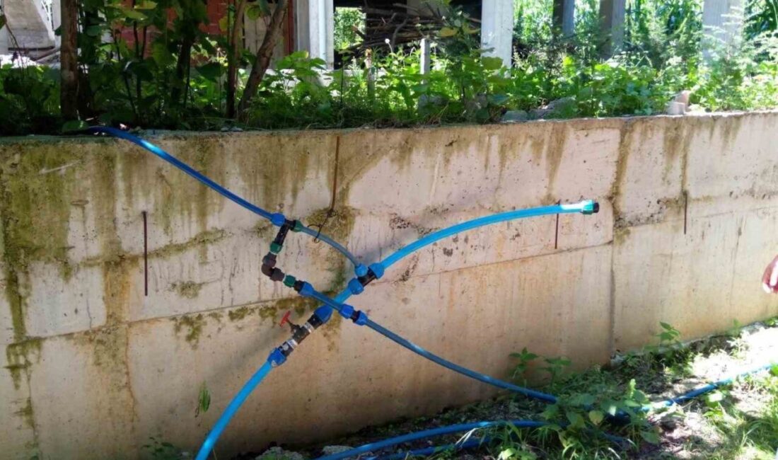 Ordu’da kaçak su kullanan 419 kişi hakkında yasal işlem başlatıldı.