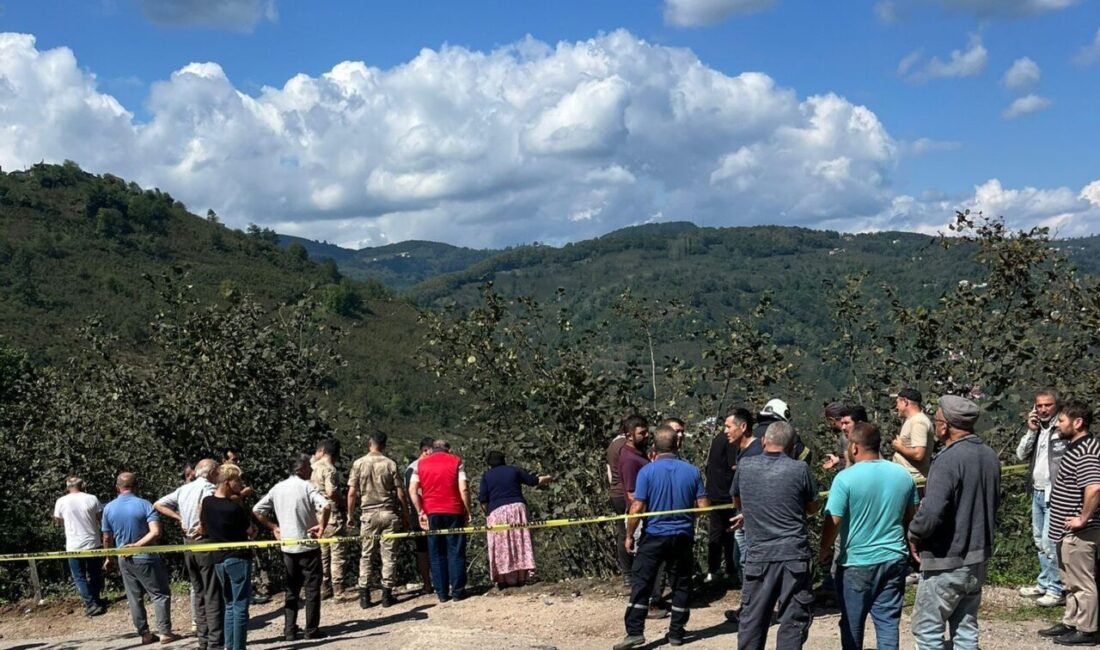 Ordu’nun Korgan ilçesinde meydana gelen patpat kazasında 1 kişi hayatını