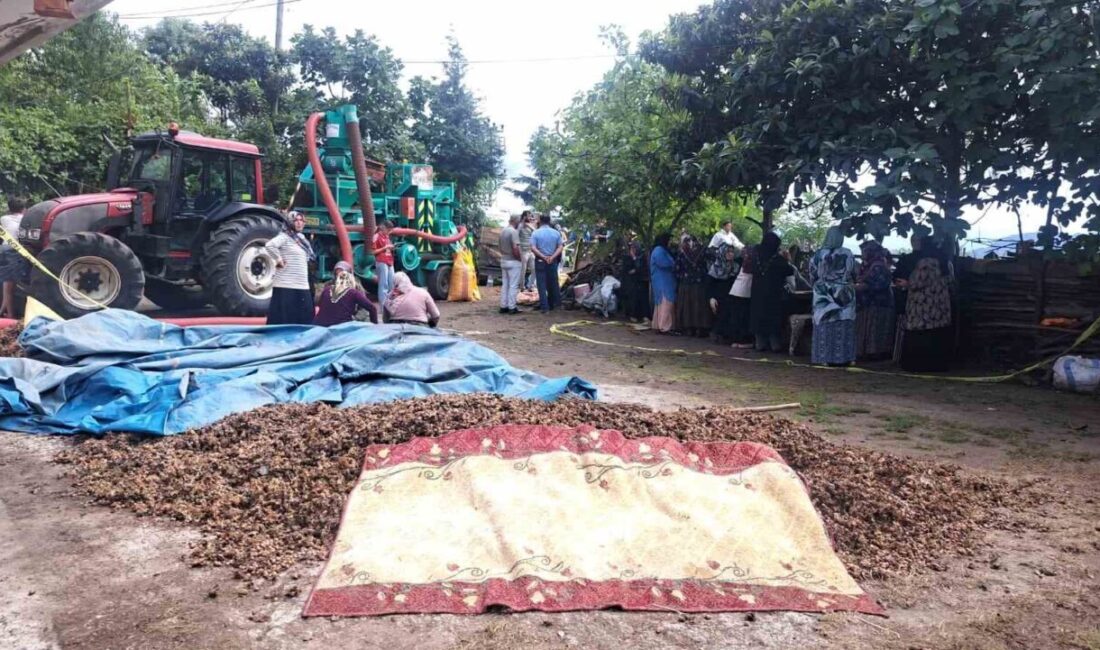 Ordu’nun Ünye ilçesinde çıkan silahlı kavgada 2 kişi hayatını kaybetti.