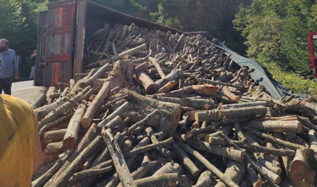 Ordu’nun Akkuş ilçesinde seyir halinde olan tomruk yüklü kamyon devrildi.