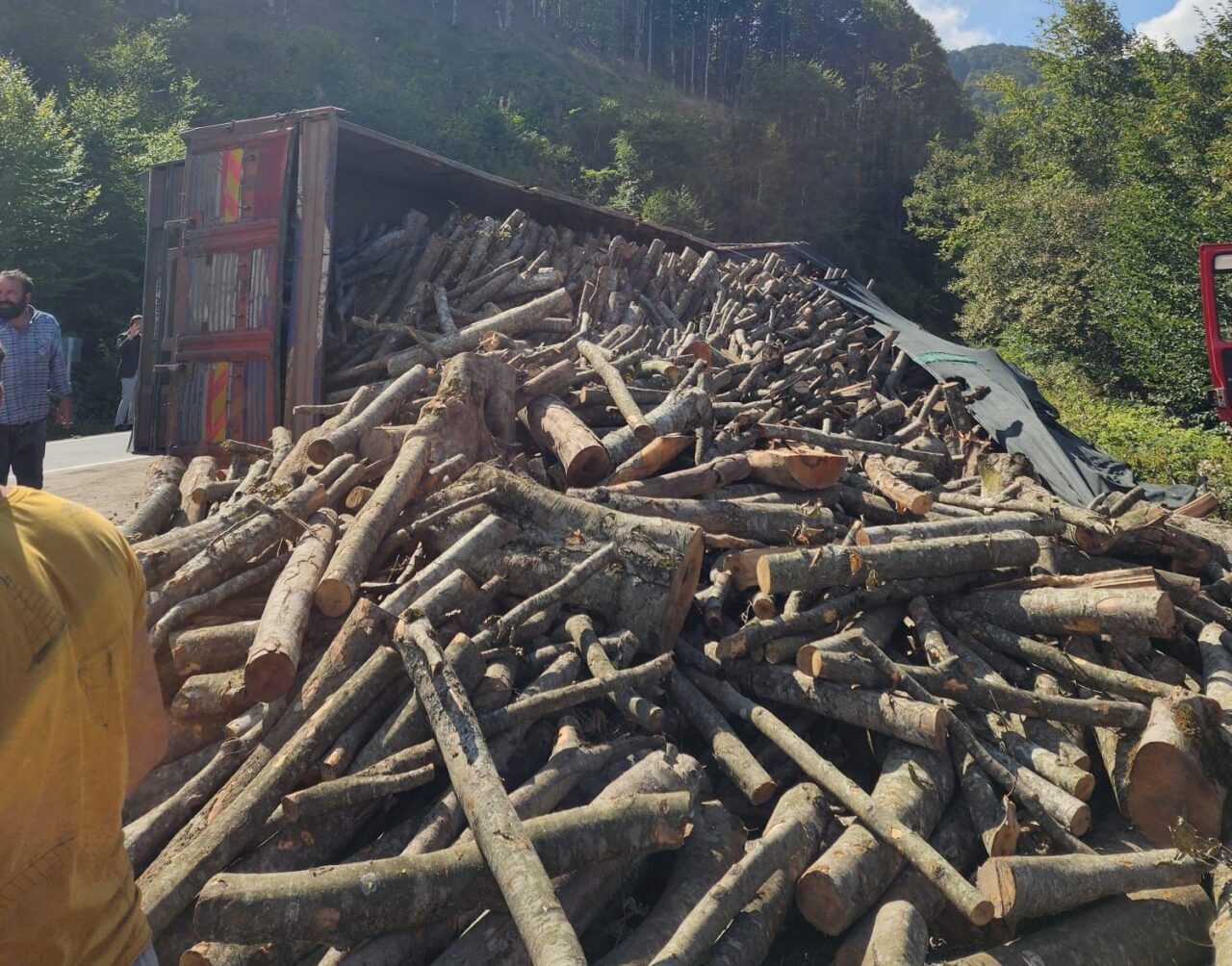 Ordu’nun Akkuş ilçesinde seyir halinde olan tomruk yüklü kamyon devrildi.