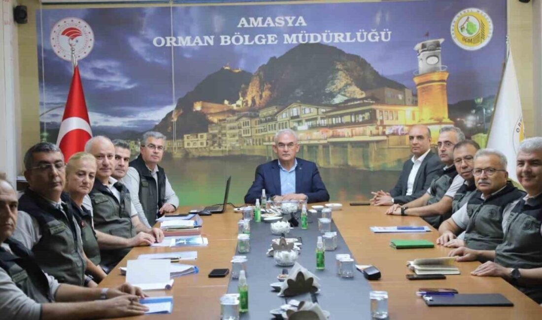 Orman Genel Müdürü Bekir Karacabey, “Ormanlar ülkemizin geleceği ve çocuklarımıza