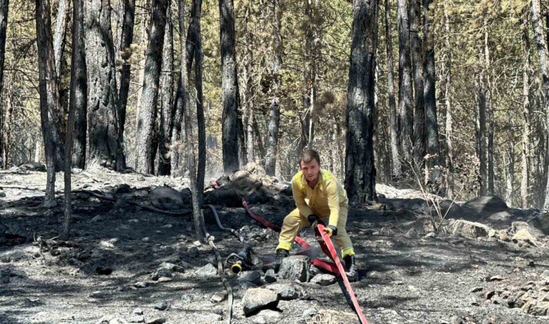 Karabük’te 3 gündür devam eden orman yangınlarına müdahale devam ederken