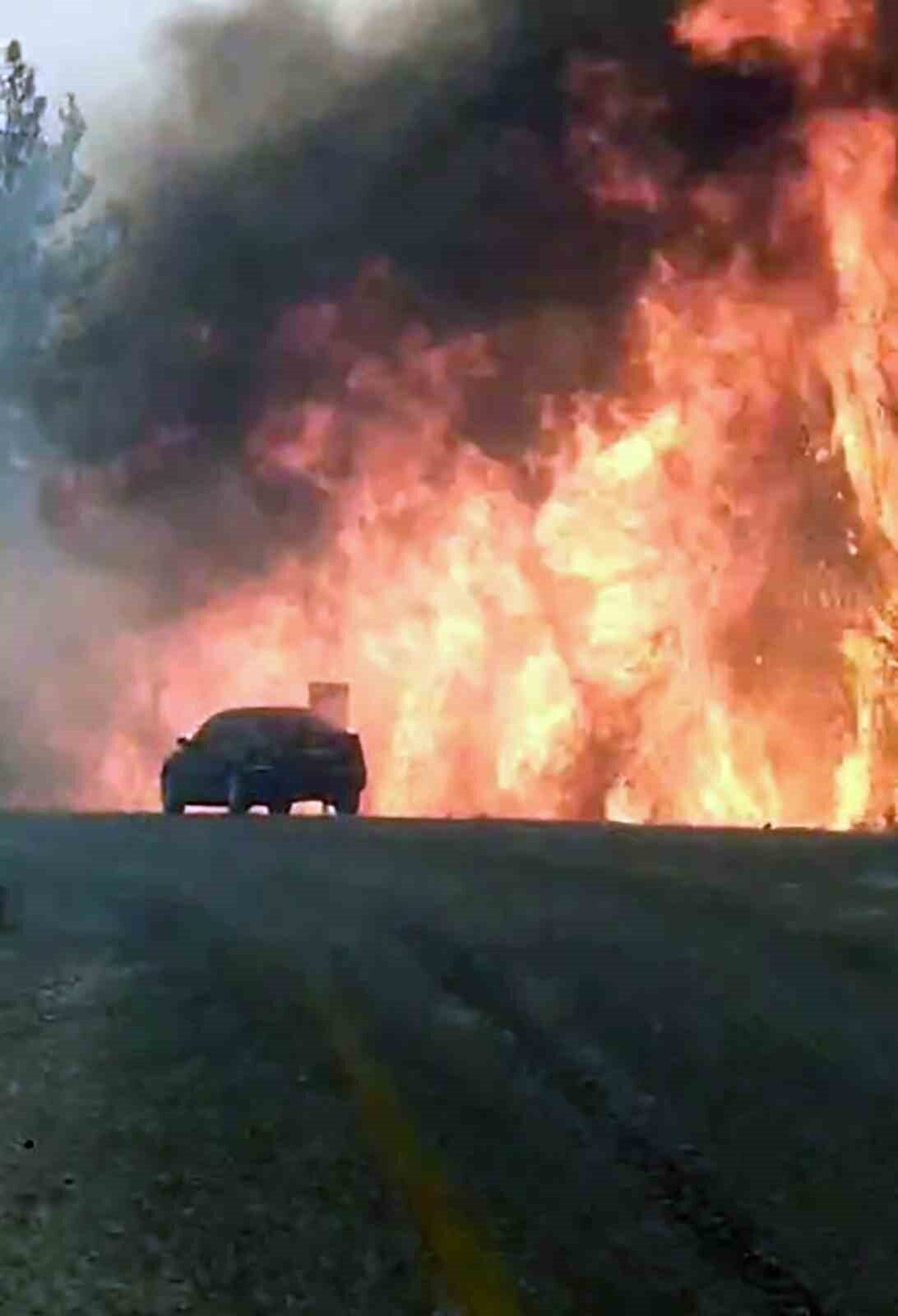 Muğla’da gece saatlerinde farklı ilçelerde başlayan orman yangınlarında Milas ve