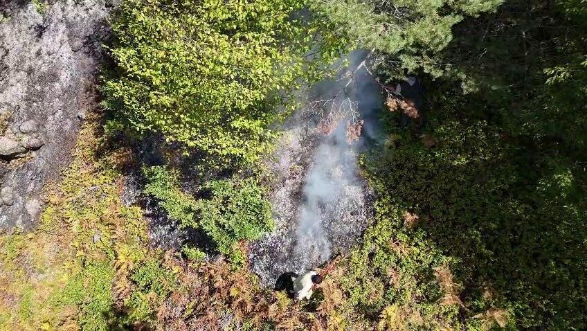 Sakarya’nın Akyazı ve Hendek ilçeleri arasında bulunan ormanlık alanda çıkan