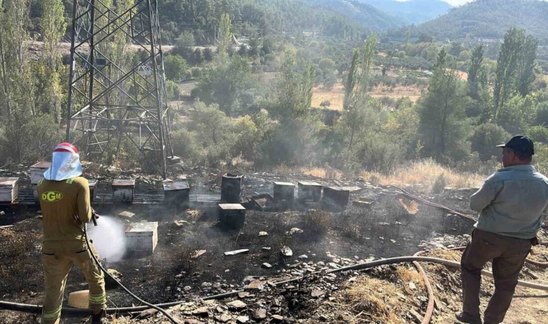 Muğla’nın Menteşe ilçesi Gevenes Mahallesinde akşam saatlerinde çıkan yangınında arı