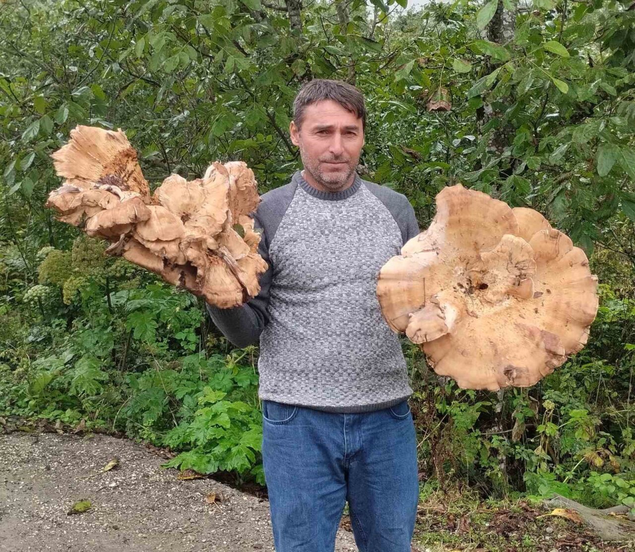 Ordu’nun Akkuş ilçesinde ailesiyle orman gezisine çıkan bir vatandaş, 3